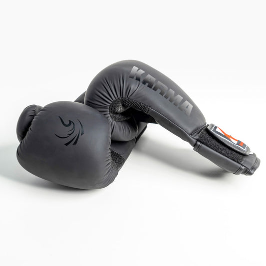 Premium Boxing Gloves - Martial Arts