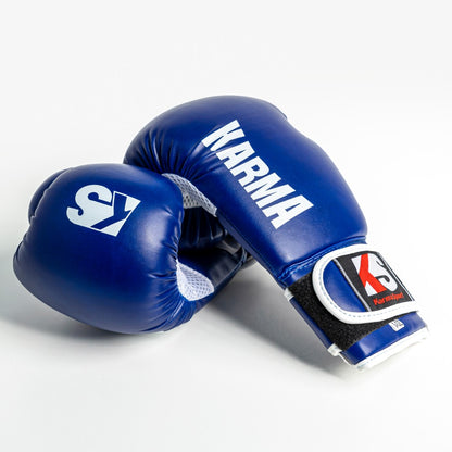 Premium Boxing Gloves - Martial Arts