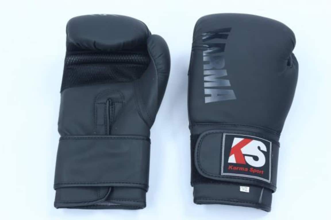 Premium Boxing Gloves - Martial Arts