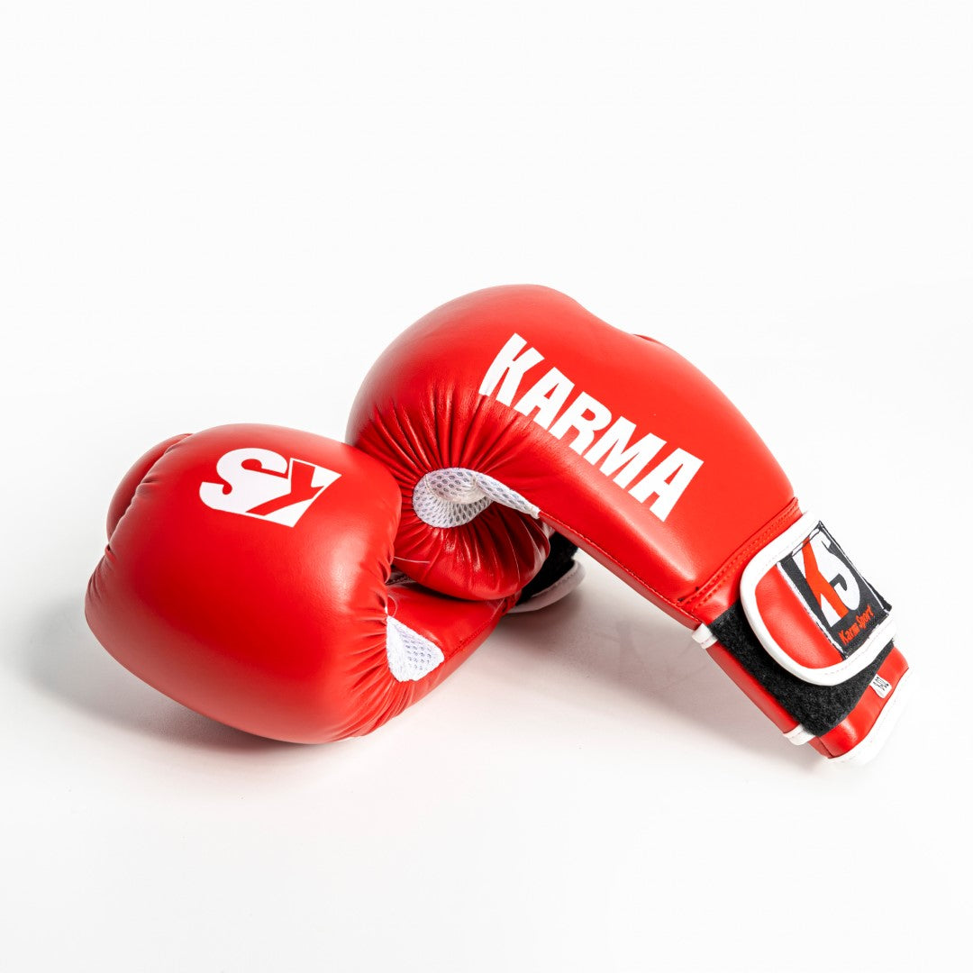 Premium Boxing Gloves - Martial Arts