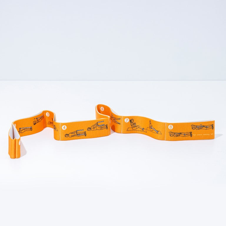 Pro-Grade Multi-Loop Stretching Strap with Exercise Guide | Yoga & Flexibility Band for Physical Therapy, Recovery, and Improving Range of Motion