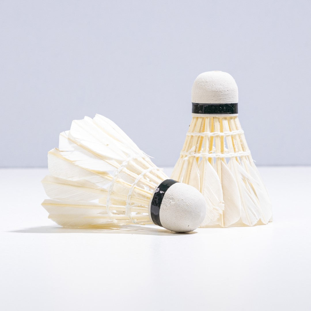 Athlete Home Performance Training Shuttlecocks | Durable Nylon Badminton Shuttles (Tube) for Consistent Flight, Speed, and Durability | For Indoor & Outdoor Games 10 Balls