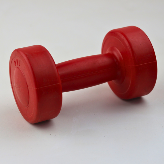 Cement Dumbbell | Premium Non-Slip Grip for Toning, Aerobics & Physical Therapy | Essential Home Gym Equipment in Egypt