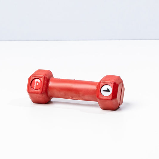 Athlete Home Vinyl Dumbbell Pair | Ideal for Beginners & Home Fitness Enthusiasts