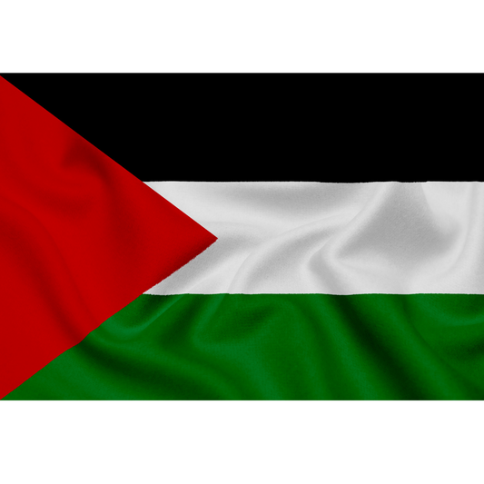 Palestine Flag