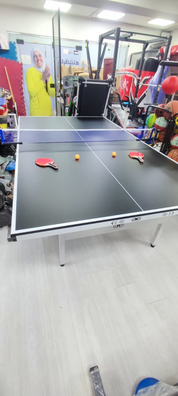 Professional 17-18 Mm Indoor Table Tennis Table with Wheels – Foldable Ping Pong Table for Home, Garden & Club Training
