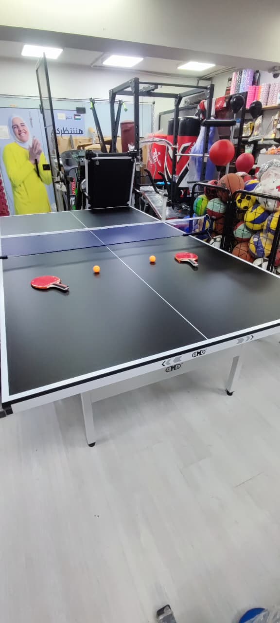 Professional 17-18 Mm Indoor Table Tennis Table with Wheels – Foldable Ping Pong Table for Home, Garden & Club Training