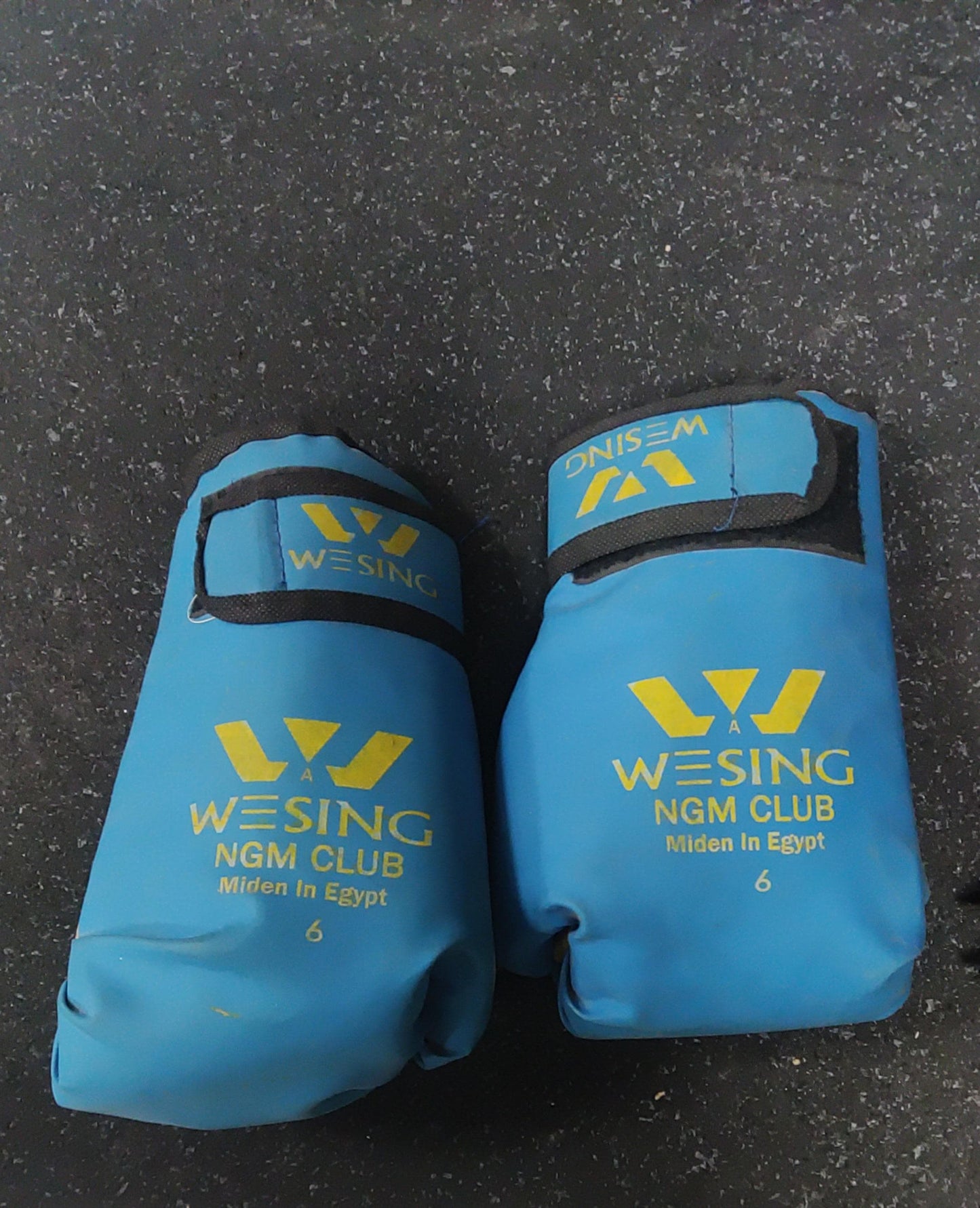 Pro-Performance Boxing Gloves 6oz – Durable Wrist Support Sparring & Heavy Bag Training Gloves for Men & Women | Athlete Home