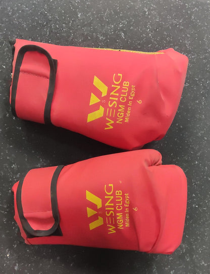 Pro-Performance Boxing Gloves 6oz – Durable Wrist Support Sparring & Heavy Bag Training Gloves for Men & Women | Athlete Home