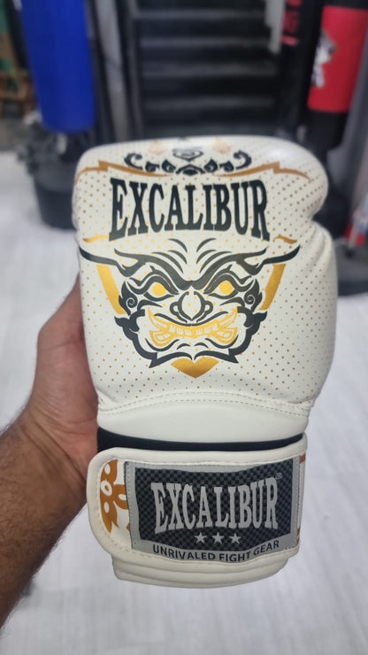 Professional Boxing Gloves for Men & Women | Best MMA, Kickboxing & Heavy Bag Training Gloves