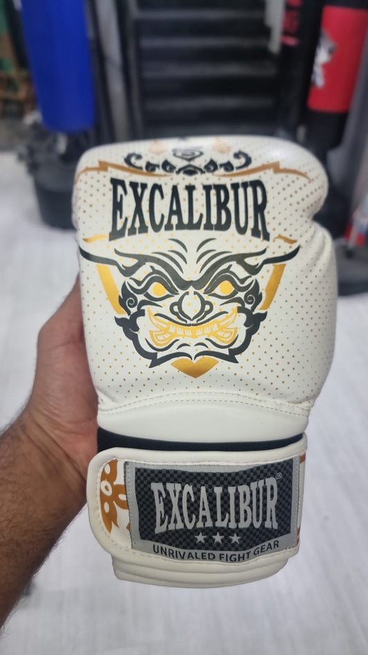 Professional Boxing Gloves for Men & Women | Best MMA, Kickboxing & Heavy Bag Training Gloves