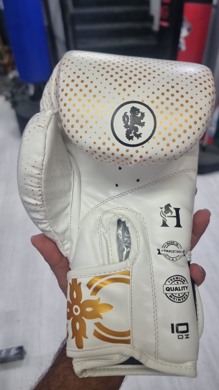 Professional Boxing Gloves for Men & Women | Best MMA, Kickboxing & Heavy Bag Training Gloves